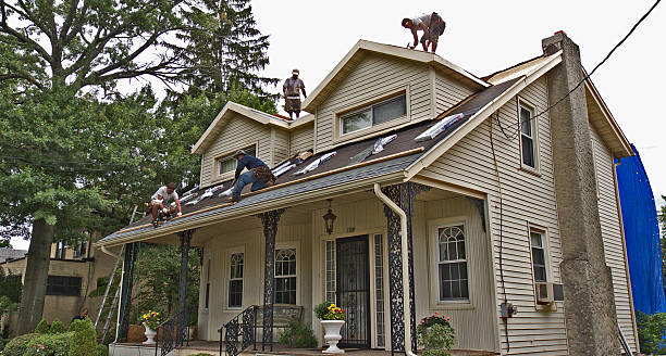 Best Storm Damage Roof Repair  in Clinton, MO