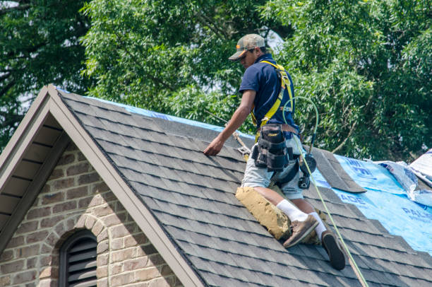 Best Roof Waterproofing Services  in Clinton, MO